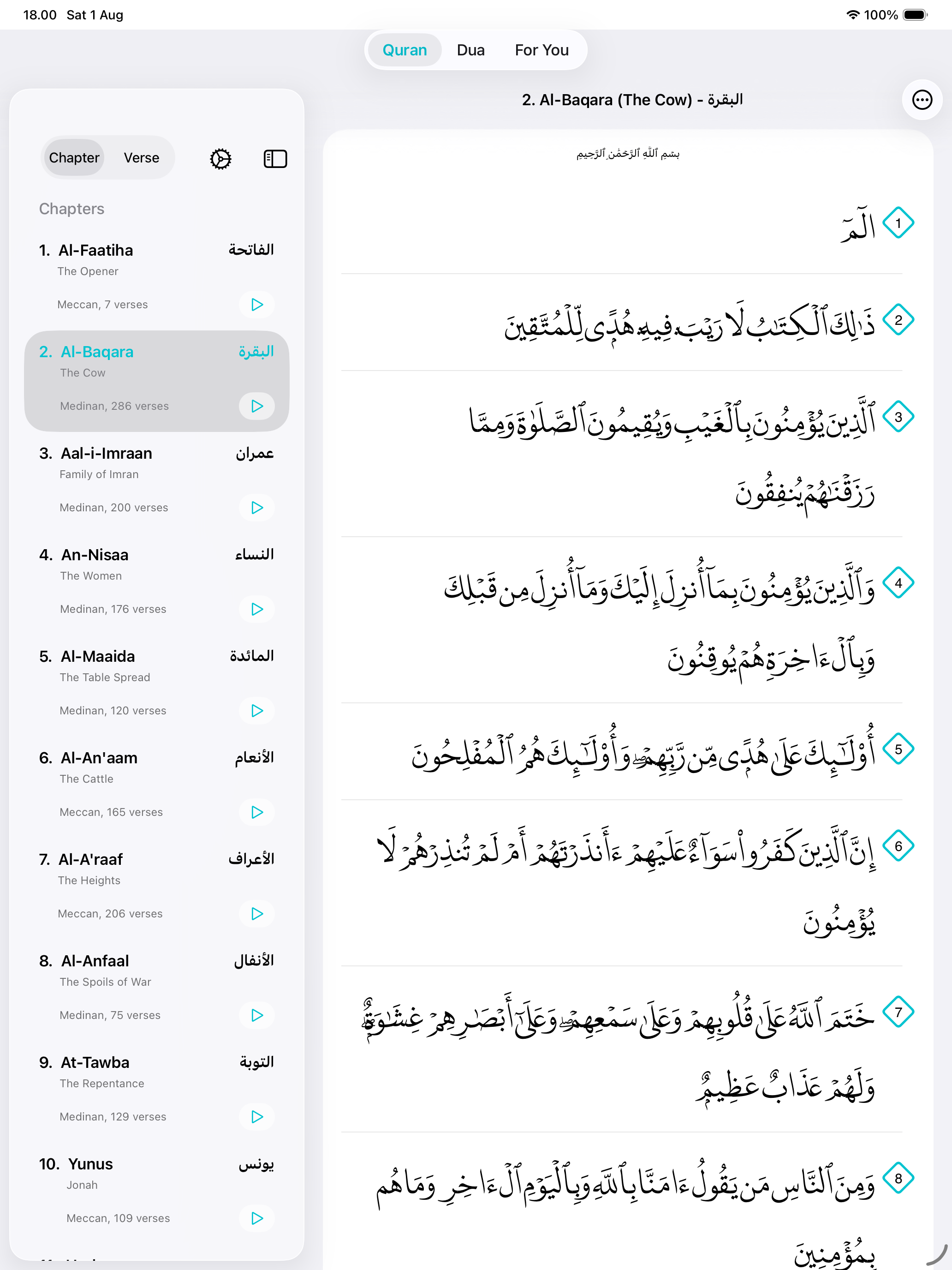 Quran Firdaus split-view reading on iPad