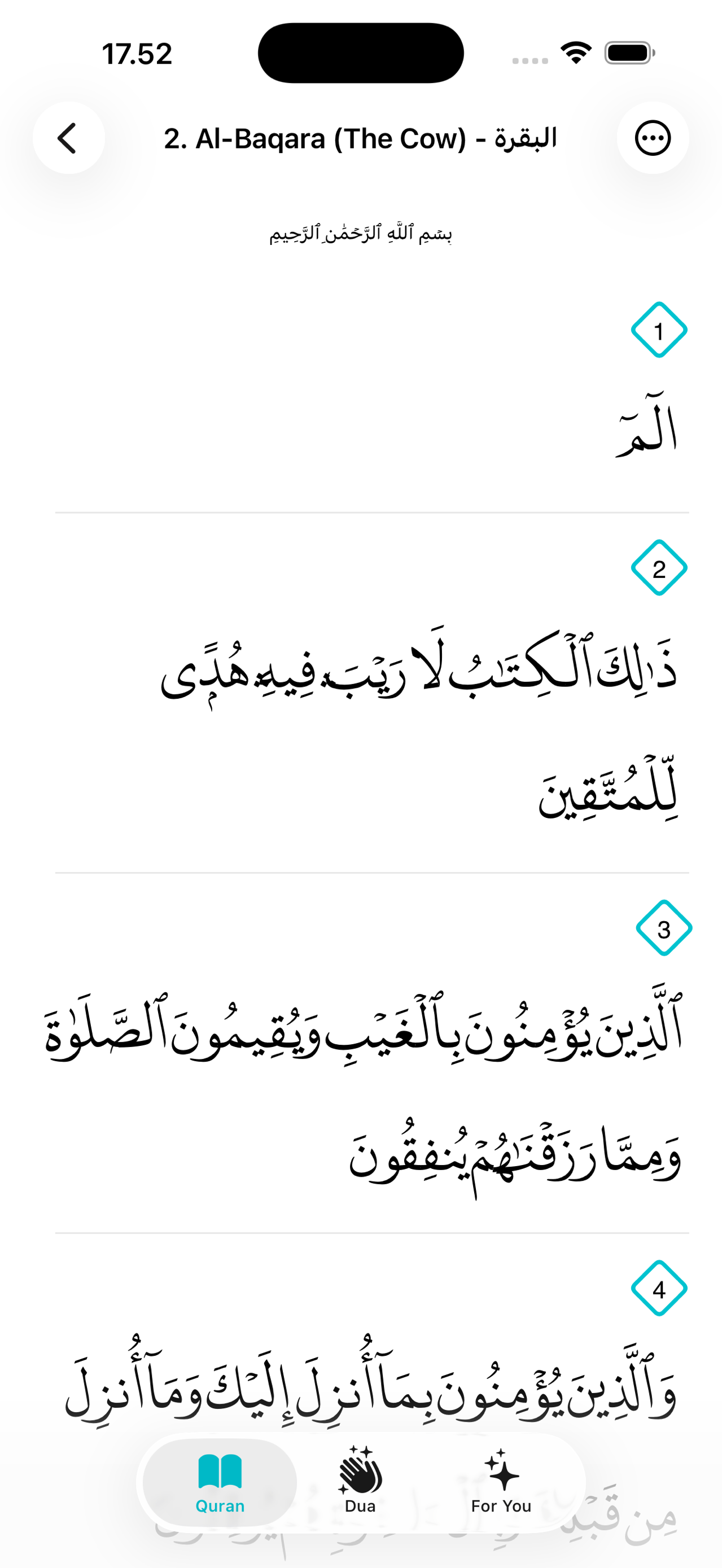Quran reading view on iPhone
